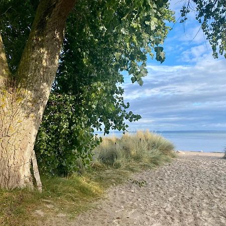 Feriendorf Suedstrand Haus 40 Pelzerhaken Eksteriør bilde